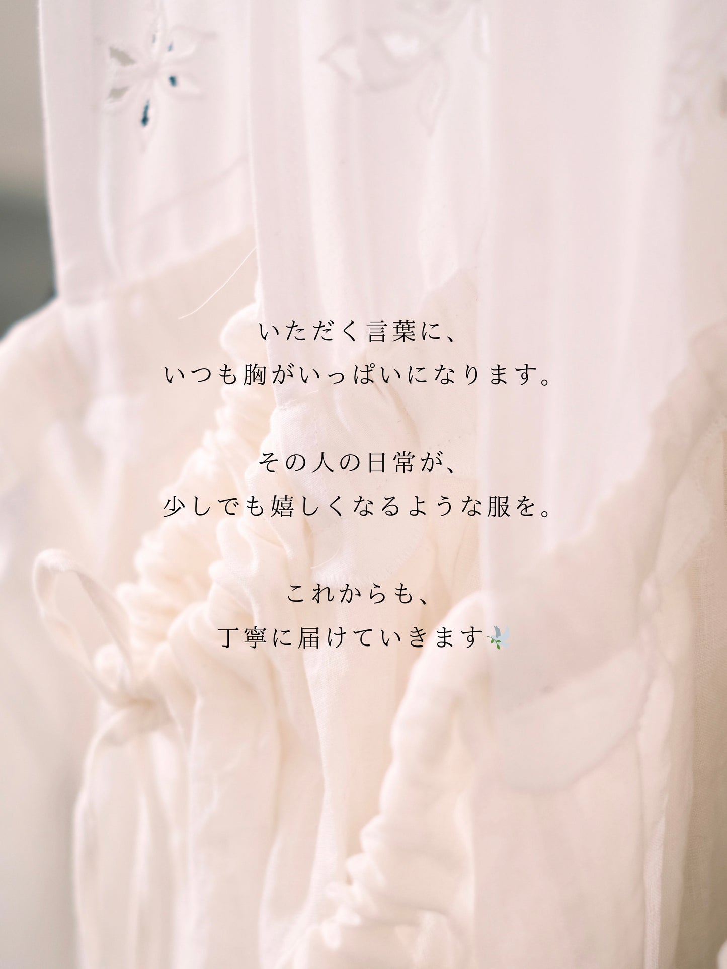 お客様からのお声